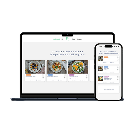 Premium-Kurs für den für den Low Carb Meal Planner
