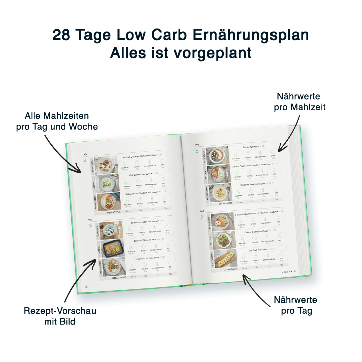 111 leckere Low Carb Rezepte mit 28 Tage Low Carb Ernährungsplan