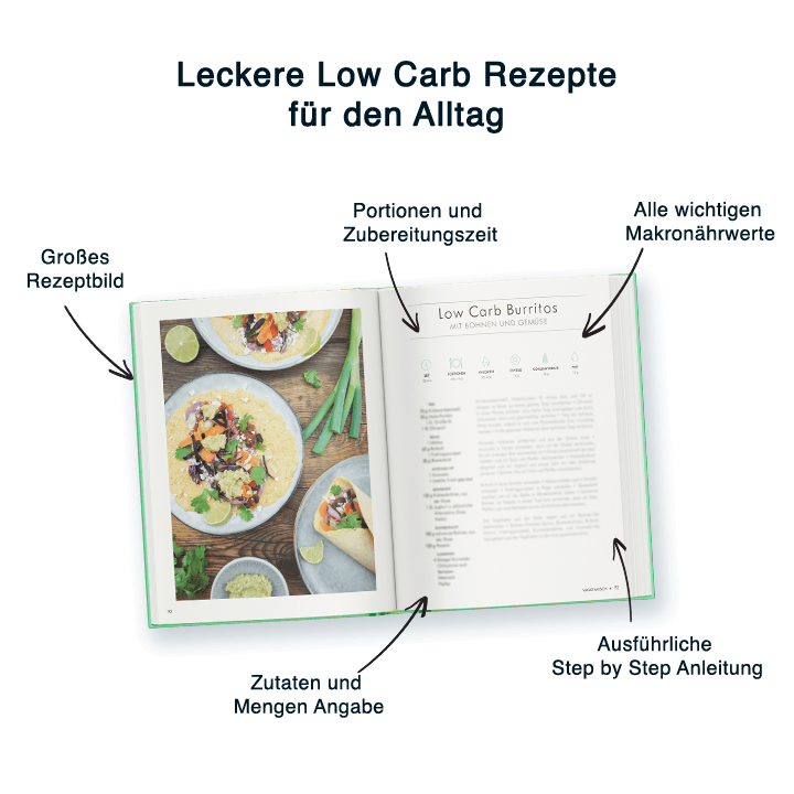111 leckere Low Carb Rezepte mit 28 Tage Low Carb Ernährungsplan
