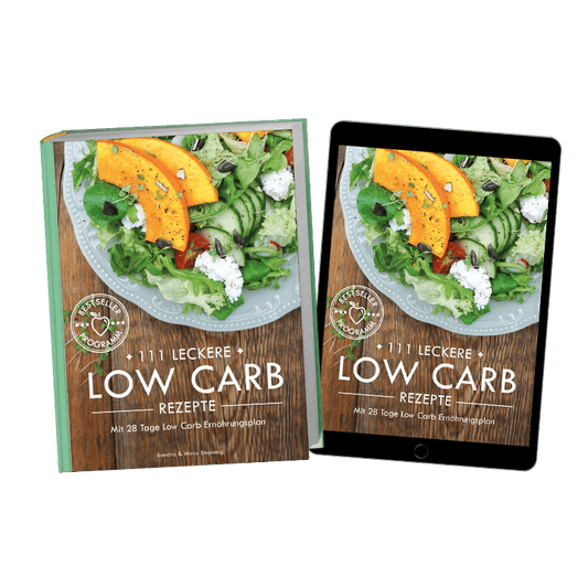 Bundle: 111 LECKERE LOW CARB REZEPTE mit 28 Tage Low Carb Ernährungsplan